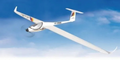 RC System Swallow ARF